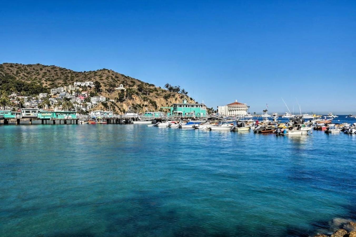 Lux Oceanfront Villa With Breathtaking Views Avalon Exteriör bild